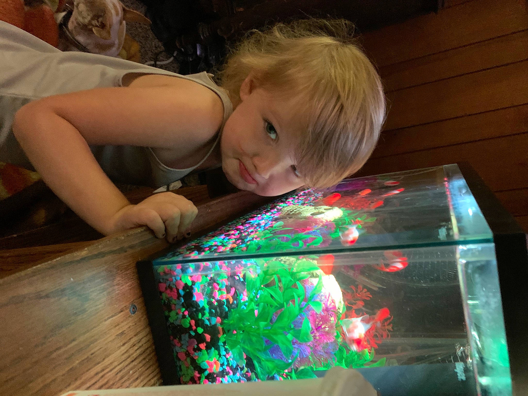 Emala is registered to the contest to win money with this photo: child, fun, person, play, toddler