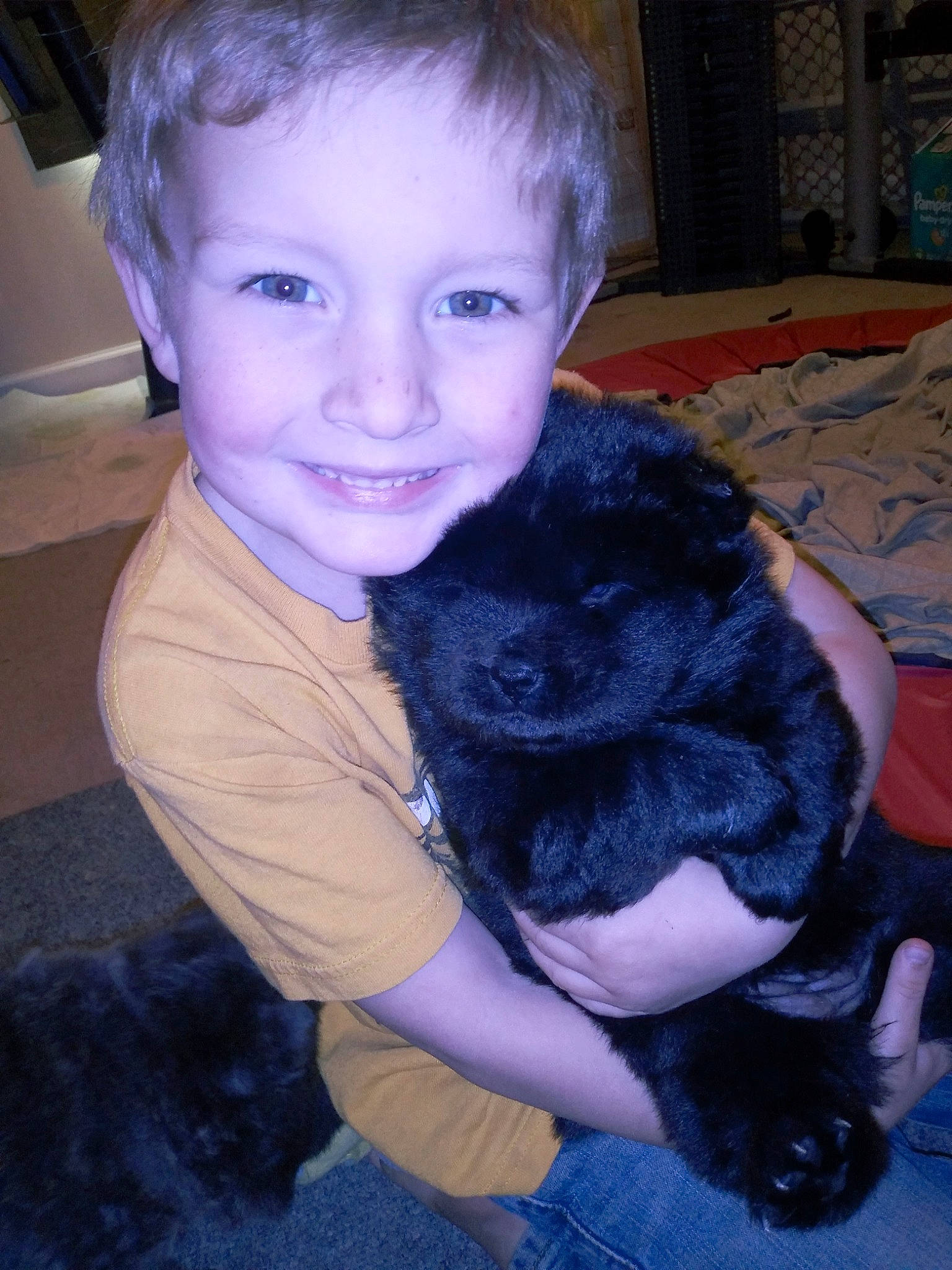 Axle is registered to the contest to win money with this photo: canidae, carnivore, cheek, child, companion_dog, dog, dog_breed, ear, eye, fur, iris, joy, person, puppy, schnoodle, sitting, skin, smile, sporting_group, toddler