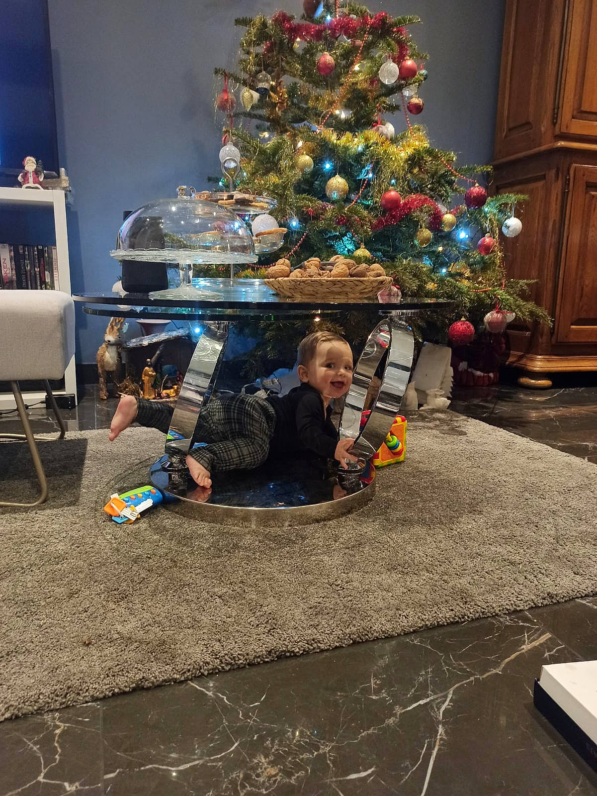 Ezra a rejoint le concours — aidez-le/la à gagner de superbes lots ! christmas, christmas_decoration, christmas_eve, christmas_ornament, christmas_tree, conifer, event, evergreen, flooring, fun, holiday, holiday_ornament, interior_design, living_room, ornament, person, plant, toy, tree, winter