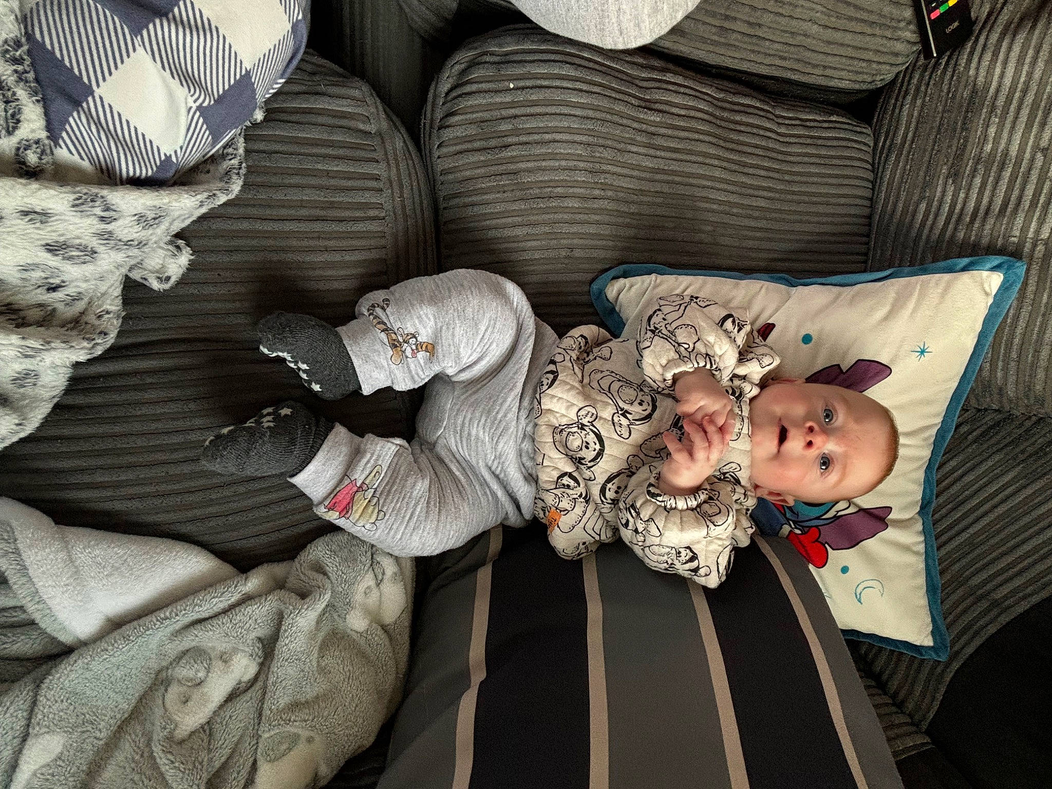 Teddy is registered to the contest to win money with this photo: child, comfort, couch, hat, lap, linens, nap, pattern, person, room, sitting, sleep, textile, thigh, toddler, tree, wood