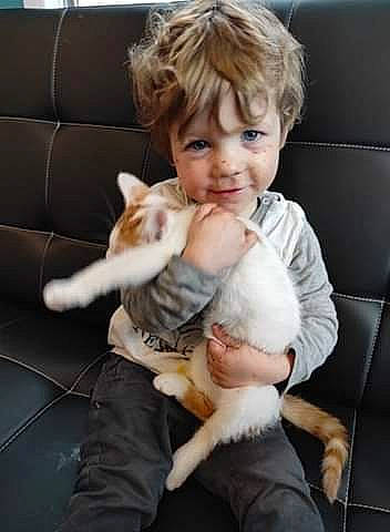 Aeden a rejoint le concours — aidez-le/la à gagner de superbes lots ! baby, carnivore, cat, child, comfort, companion_dog, fawn, felidae, fur, gesture, hand, happy, lap, mammal, person, sitting, small_to_medium_sized_cats, smile, thumb, toddler