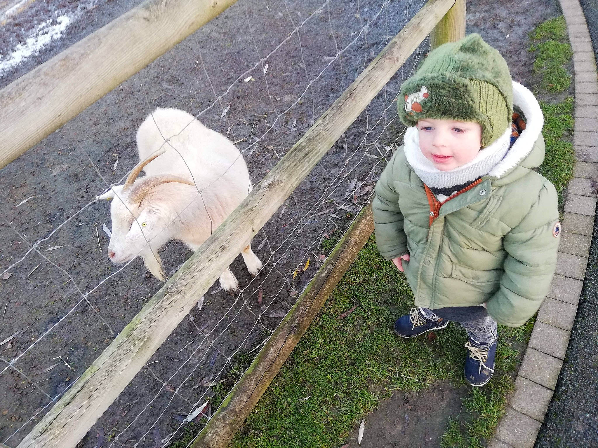 Aaron participe au concours pour gagner de l'argent avec cette photo : beanie, canidae, cap, fence, fur, grass, headwear, hoodie, knit_cap, livestock, person, plant, recreation, road_surface, sidewalk, snapshot, soil, sporting_group, sunglasses, tail