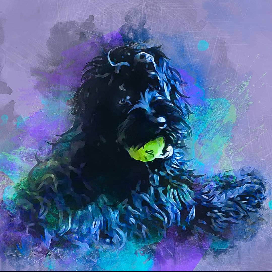 Ony is registered to the contest to win money with this photo: art, art_paint, canidae, carnivore, circle, creative_arts, dog, dog_breed, drawing, electric_blue, graphics, illustration, paint, painting, pattern, snout, sporting_group, visual_arts, water_dog, watercolor_paint