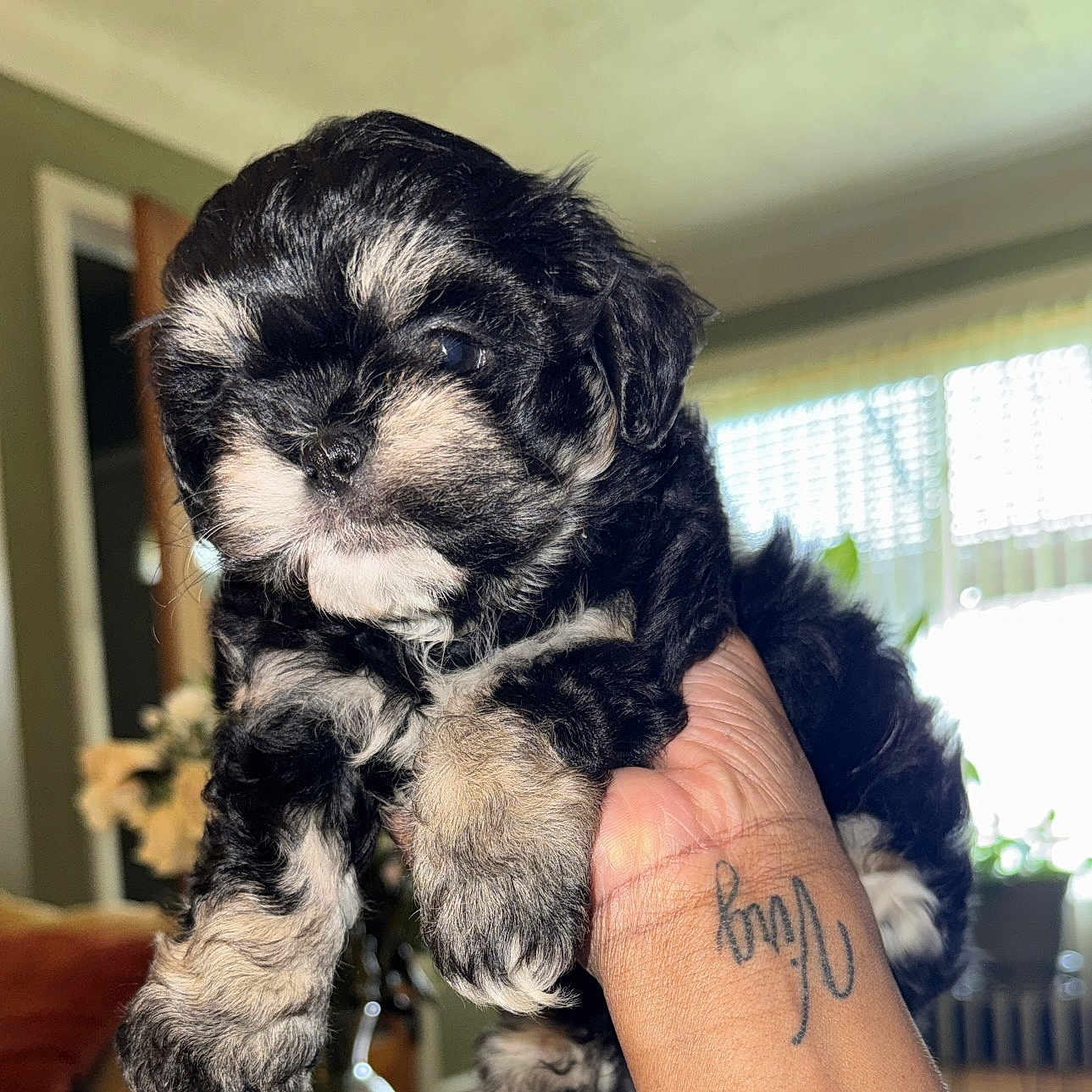 Khloe