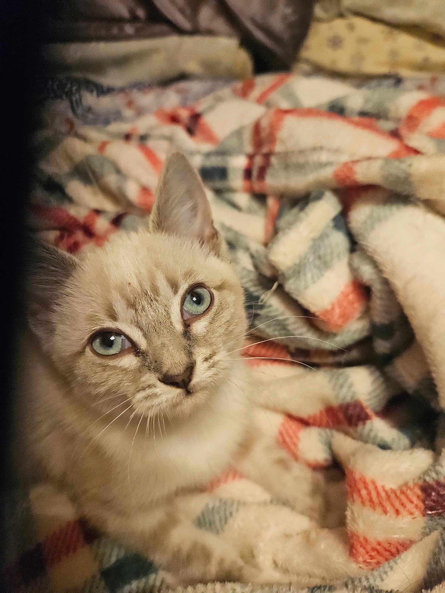 Opal