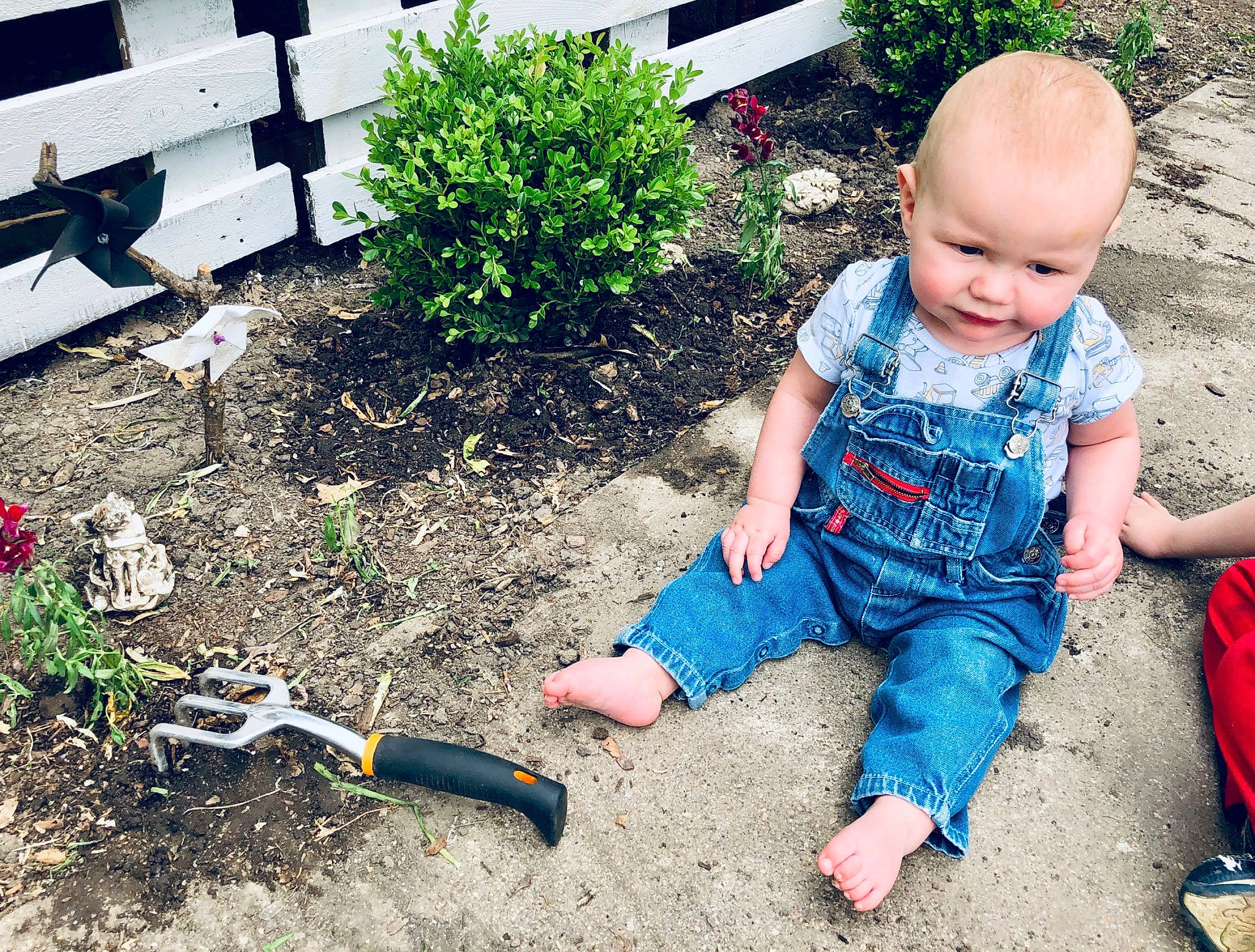 Grayson joined the competition — help win amazing prizes! baby, backyard, child, footwear, garden, grass, hand, home, leaf, leg, people, person, plant, play, shoe, soil, spring, summer, toddler, vacation