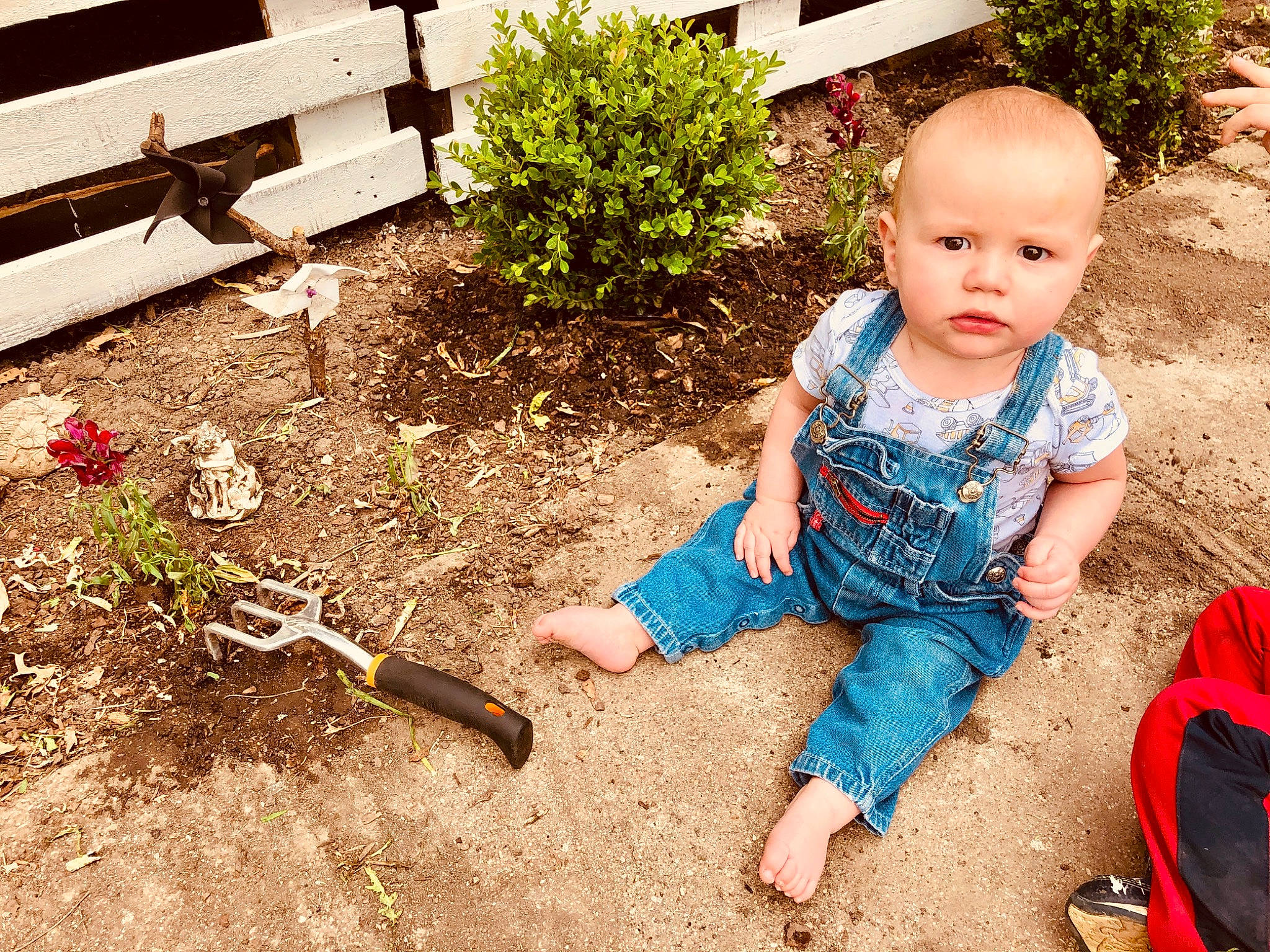Grayson joined the competition — help win amazing prizes! baby, backyard, child, flower, footwear, garden, holiday, home, leaf, leg, people, person, plant, play, shoe, smile, soil, summer, toddler, vacation