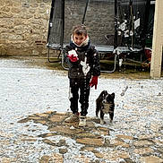 Arrow a rejoint le concours — aidez-le/la à gagner de superbes lots ! boy, child, dog, puppy, snow, snowball, winter_clothing, gloves, trampoline, stone_wall, outdoor, playful, curious, footwear, pavement, pet, cold_weather, young, fun, activity