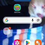 Jake is registered to the contest to win money with this photo: app_icons, background, blanket, blurry, camera_icon, chat_icon, colorful_stripes, digital, dog, gallery_app, google_search_bar, home_screen, mobile, notification_badges, phone_icon, play_store, smartphone_screenshot, technology, user_interface, weather_widget