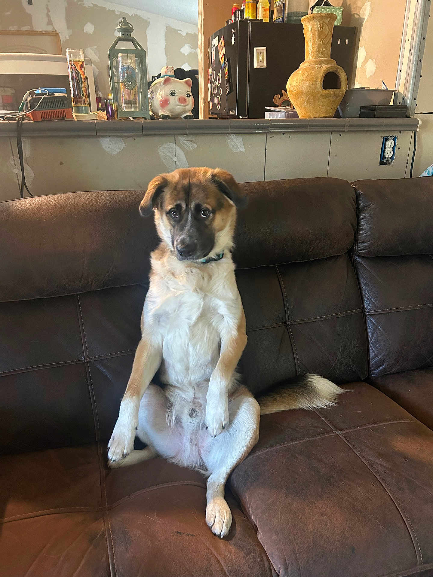Charlie