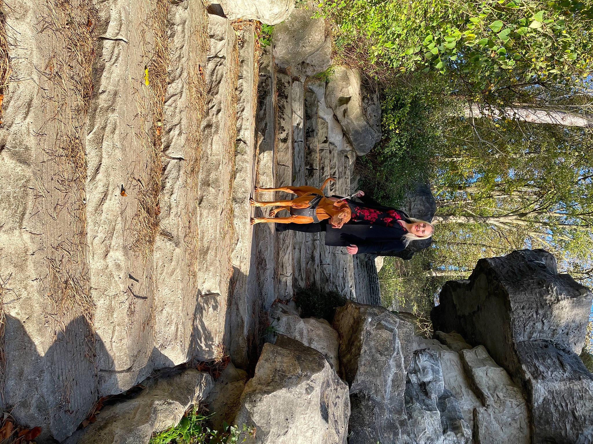 Harco a rejoint le concours — aidez-le/la à gagner de superbes lots ! adventure, bedrock, bouldering, climbing, escarpment, fault, formation, free_climbing, free_solo_climbing, geology, klippe, outcrop, recreation, rock, rock_climbing, rock_climbing_equipment, sport_climbing