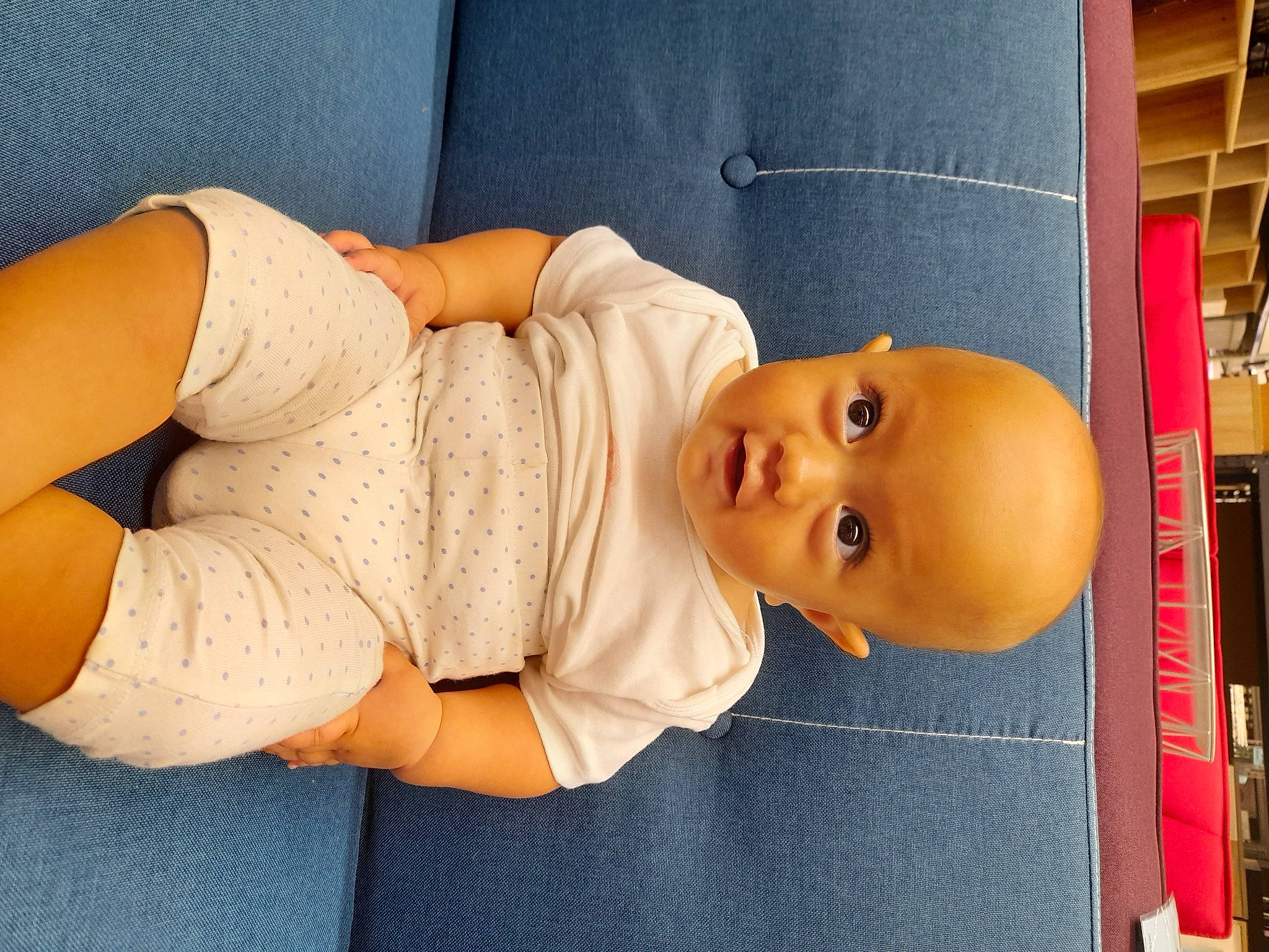 Vaimatahani a rejoint le concours — aidez-le/la à gagner de superbes lots ! baby, baby_safety, baby_sleeping, baby_toddler_clothing, cheek, child, comfort, elbow, eye, facial_expression, finger, human_body, joint, knee, person, shelf, skin, sleeve, textile, thigh