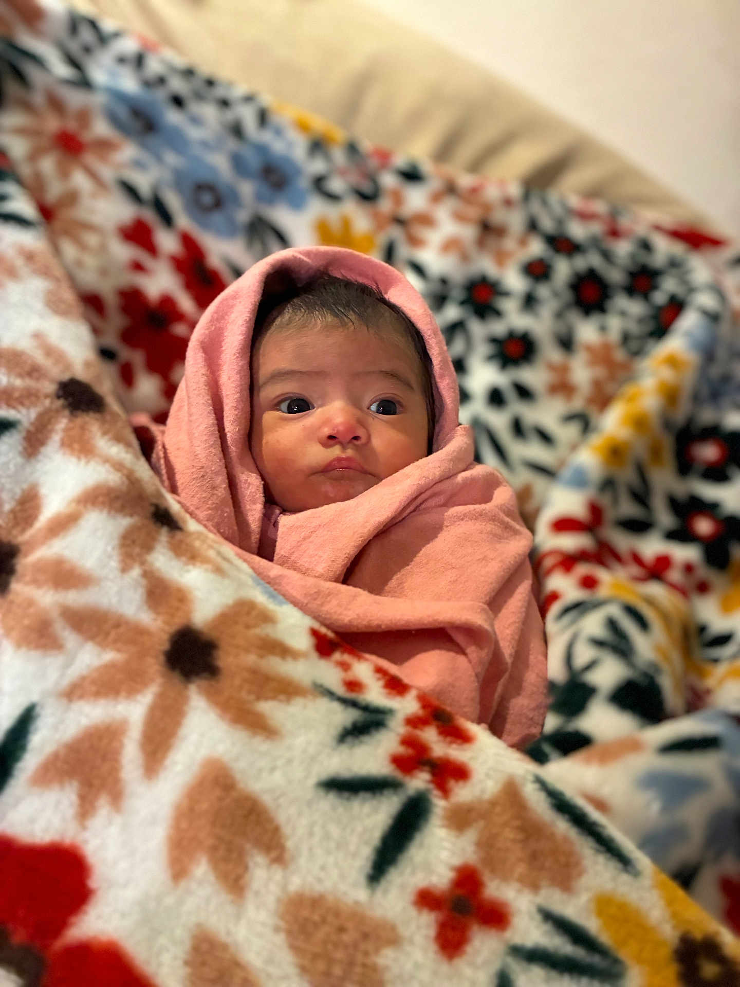 Cataleya is registered to the contest to win money with this photo: baby, blanket, pink_blanket, floral_pattern, cozy, infant, wrapped, cute, face, portrait, soft_texture, warm, indoor, comfort, child, young, expression, looking_away, head, sleeping_area