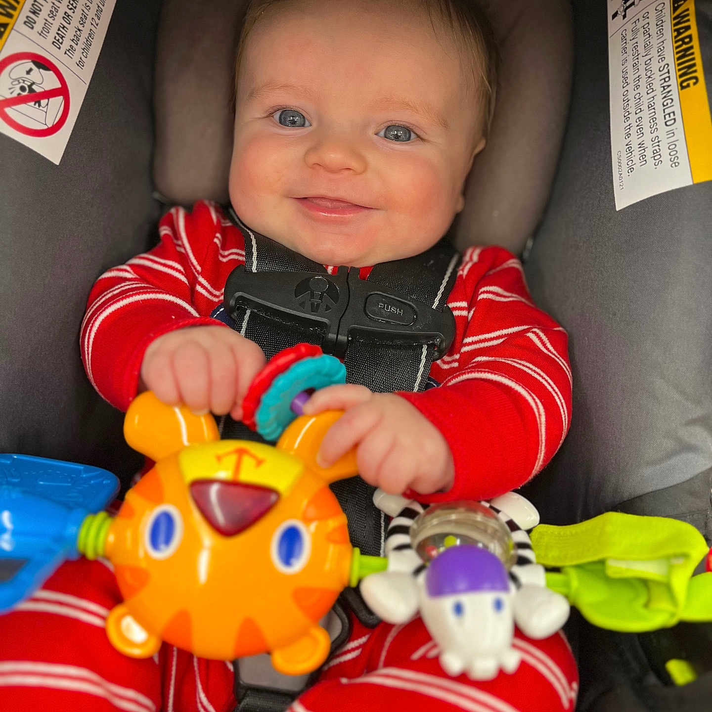 Maverick joined the competition — help win amazing prizes! baby, blue_eyes, car_seat, child, closeup, colorful, comfort, cute, face, hands, happy, indoor, infant, playful, red_clothing, safety, seatbelt, smile, striped_pajamas, toy