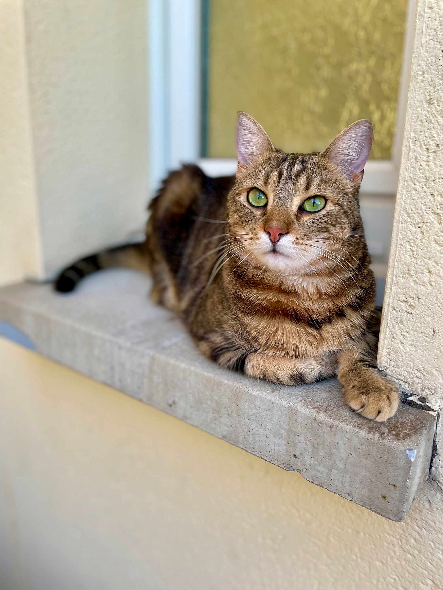Milo
