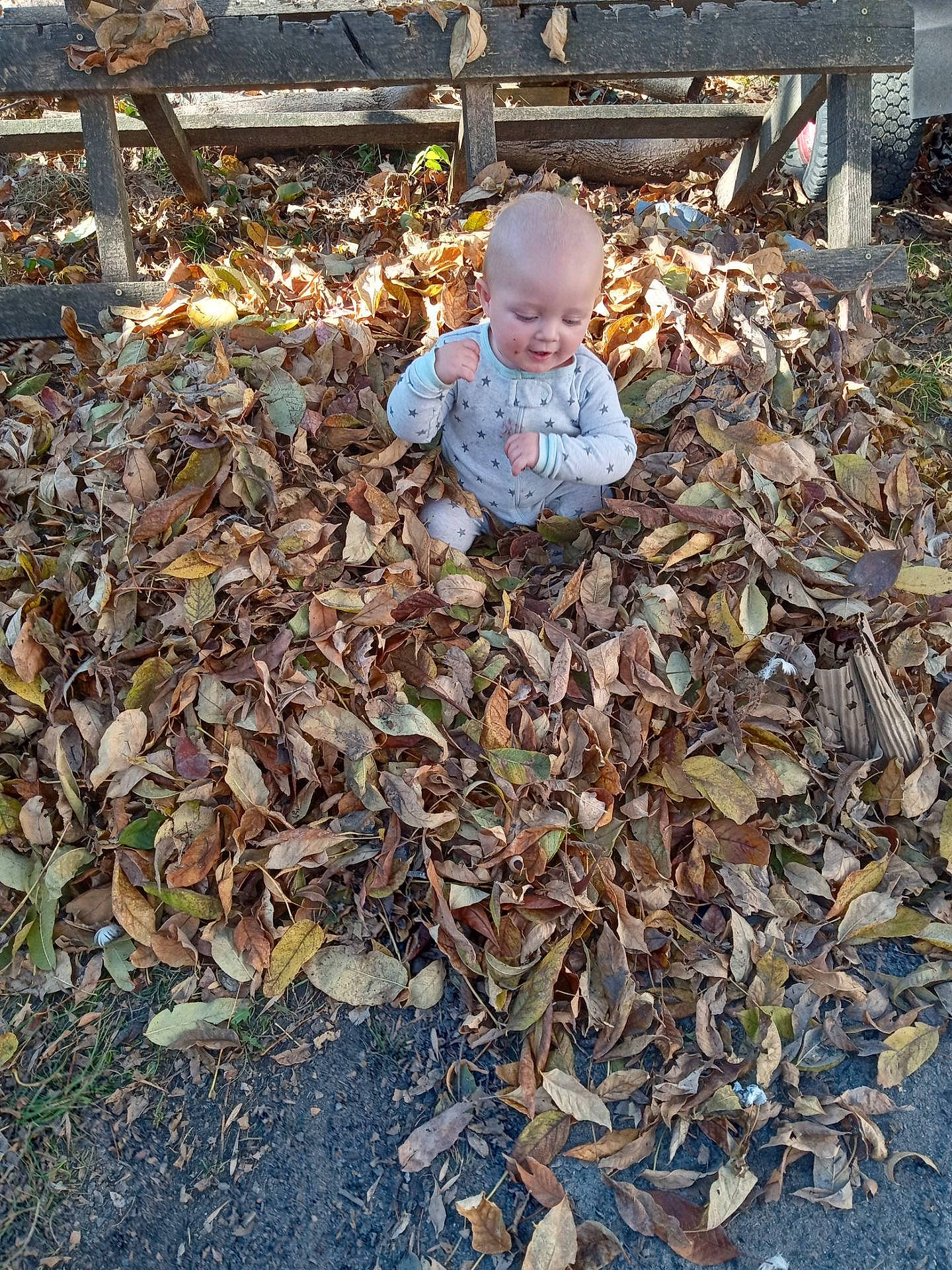 Kamden joined the competition — help win amazing prizes! asphalt, autumn, baby, baby_toddler_clothing, beauty, child, city, cobblestone, deciduous, flooring, grass, leaf, people_in_nature, person, road_surface, sidewalk, sitting, soil, toddler, waste