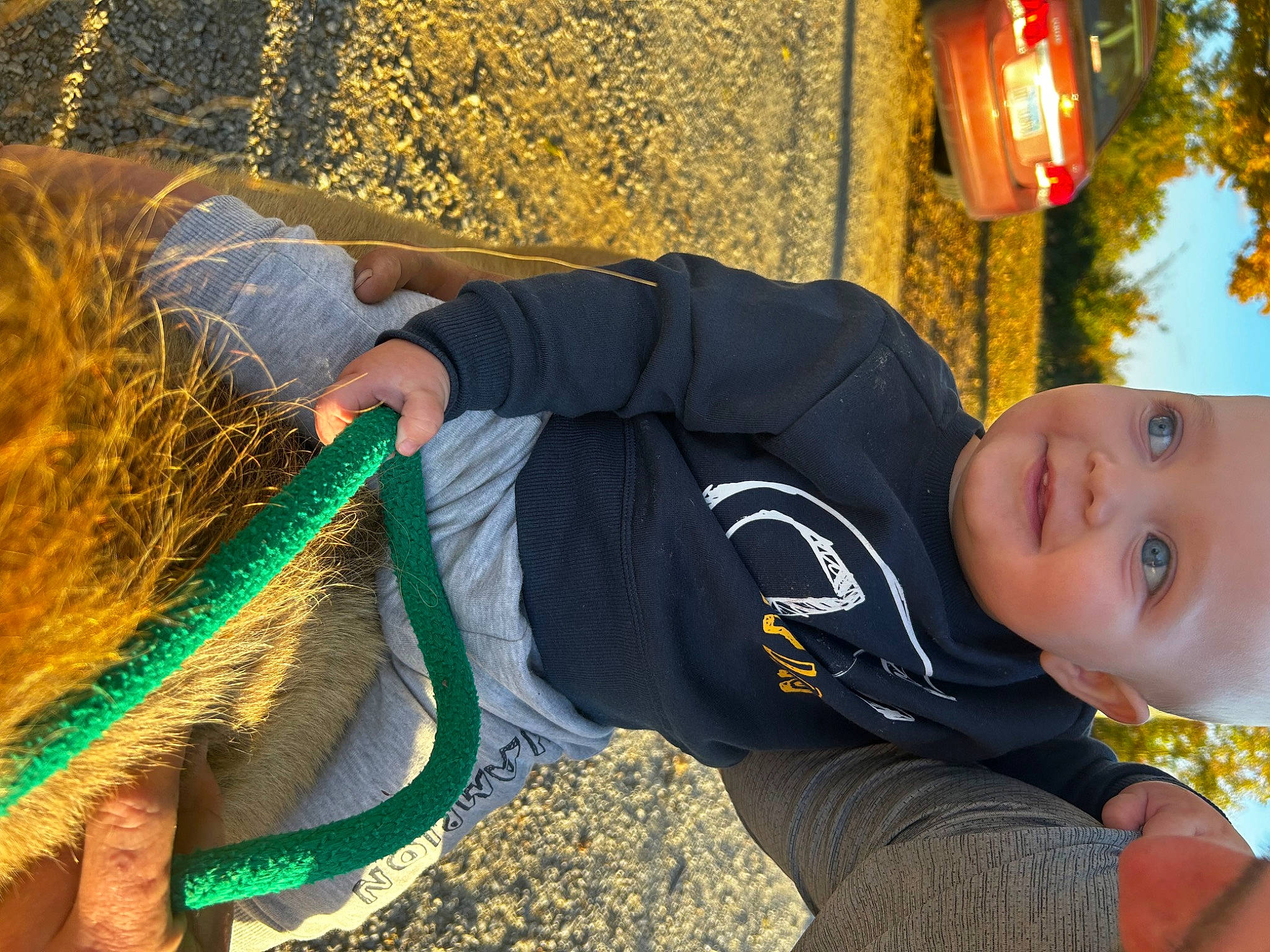 Kamden is registered to the contest to win money with this photo: baby, baby_toddler_clothing, child, fun, grass, happy, human_leg, joy, leaf, leisure, people_in_nature, person, plant, play, sitting, soil, toddler, tree, wool, yellow