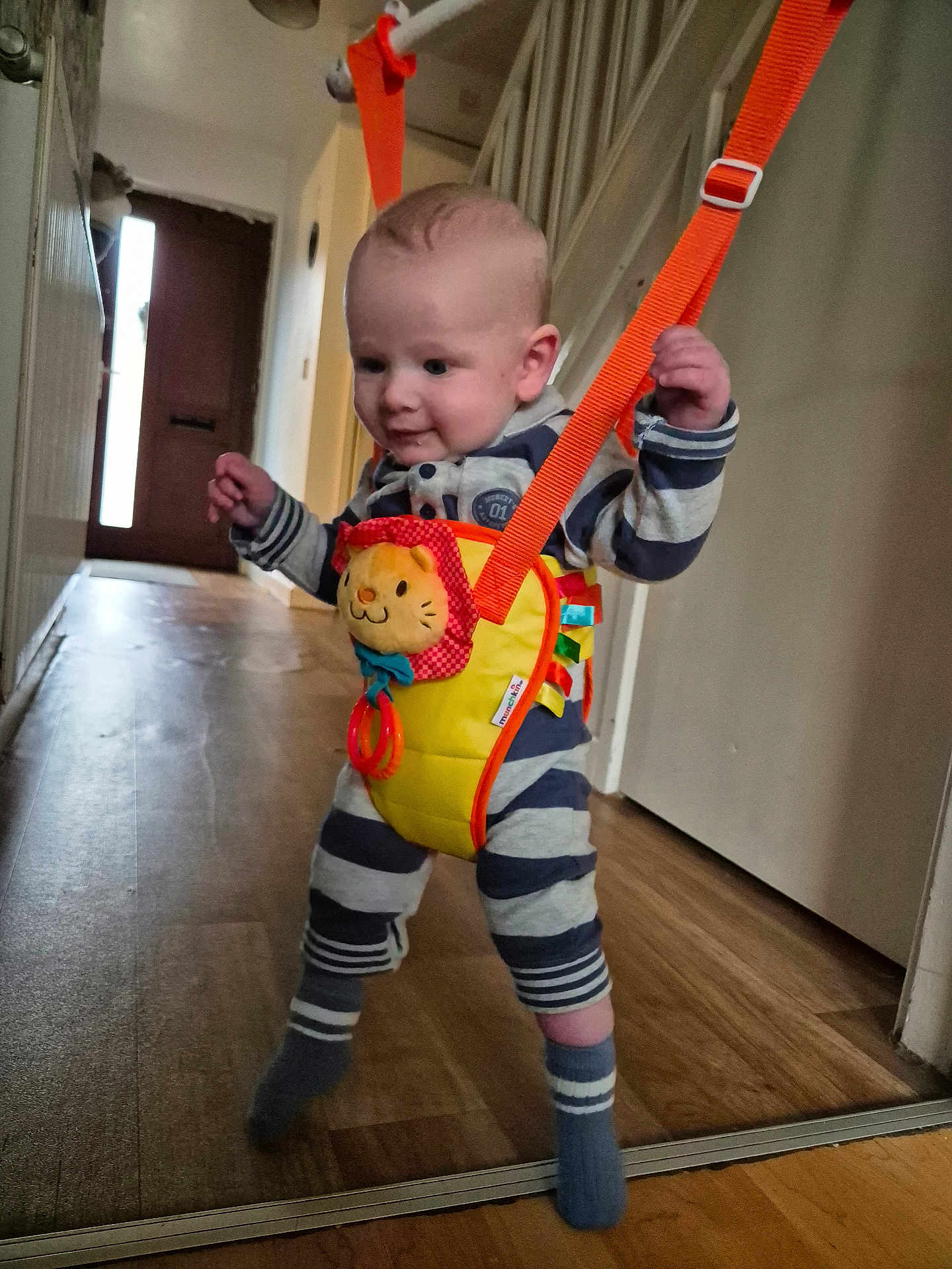 Reece is registered to the contest to win money with this photo: baby, child, striped_clothing, socks, baby_jumper, yellow, orange, lion_toy, hallway, wood_floor, door, indoor, smiling, walking, safety_harness, playful, cute, infant, person, young_child