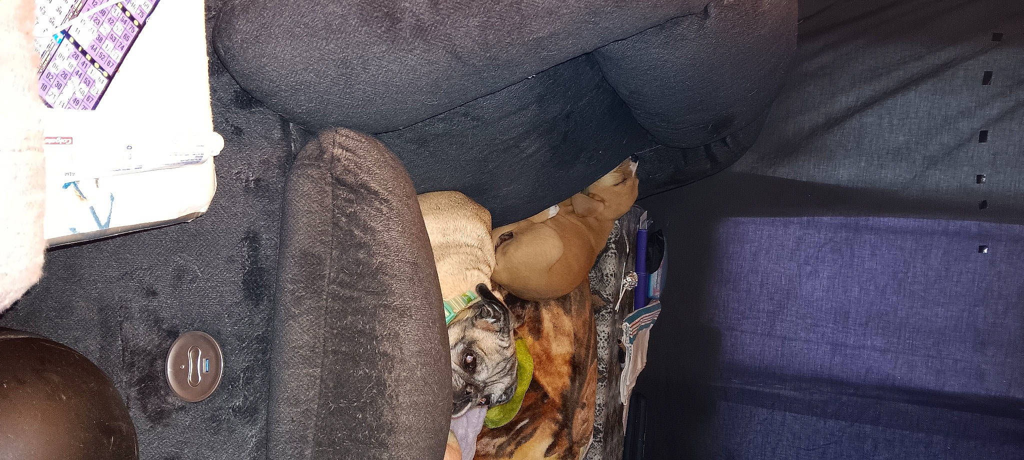 Jessica joined the competition — help win amazing prizes! auto_part, automotive_exterior, automotive_tire, automotive_wheel_system, bumper, car_seat, denim, elbow, foot, helmet, human_body, human_leg, knee, military_camouflage, motor_vehicle, sitting, thigh, tree, vehicle_door, wood