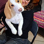 Anaya participe au concours pour gagner de l'argent avec cette photo : person, dog, puppy, glasses, floppy_ears, white_fur, brown_spots, head_tilt, motion_blur, black_sweater, jeans, folding_chair, tile_floor, striped_blanket, stone_wall, cozy_interior, cuddle, smiling, hand, living_room