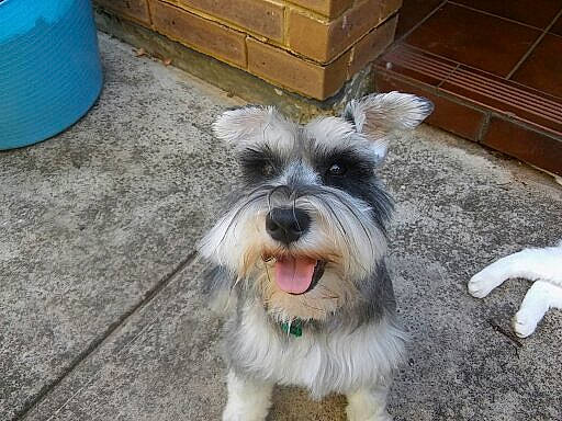 Muffy is registered to the contest to win money with this photo: