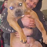 Flex is registered to the contest to win money with this photo: person, dog, indoor, hug, smile, hoodie, large_dog, flash, glowing_eyes, close_up, affection, casual, seated, hand, furniture, relaxed, pet, animal, portrait, comfort