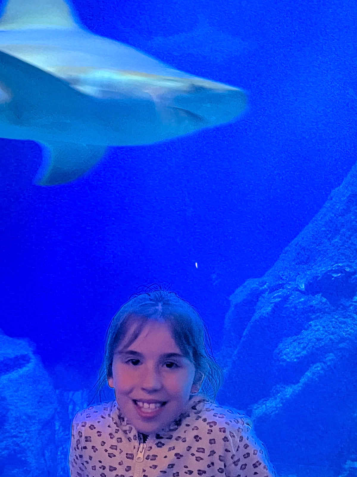 Victor a rejoint le concours — aidez-le/la à gagner de superbes lots ! child, smile, girl, aquarium, shark, water, underwater, rocks, blue, animal, marine_life, portrait, jacket, face, young, happy, nature, sea_creature, leisure, indoor