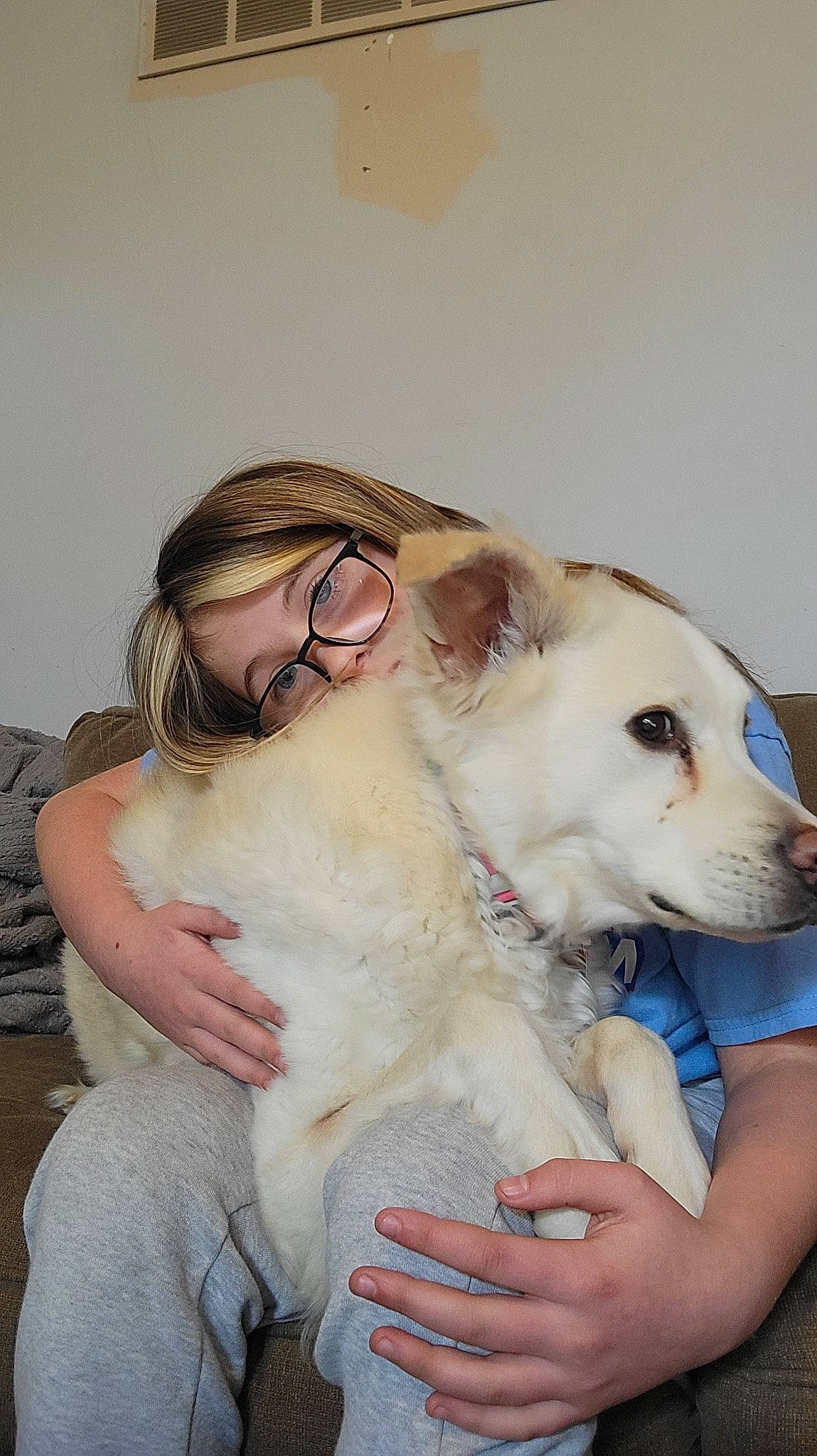 Maci is registered to the contest to win money with this photo: canidae, carnivore, companion_dog, dog, dog_breed, ear, eyewear, fawn, fur, gesture, happy, puppy_love, sitting, sporting_group, vision_care, whiskers