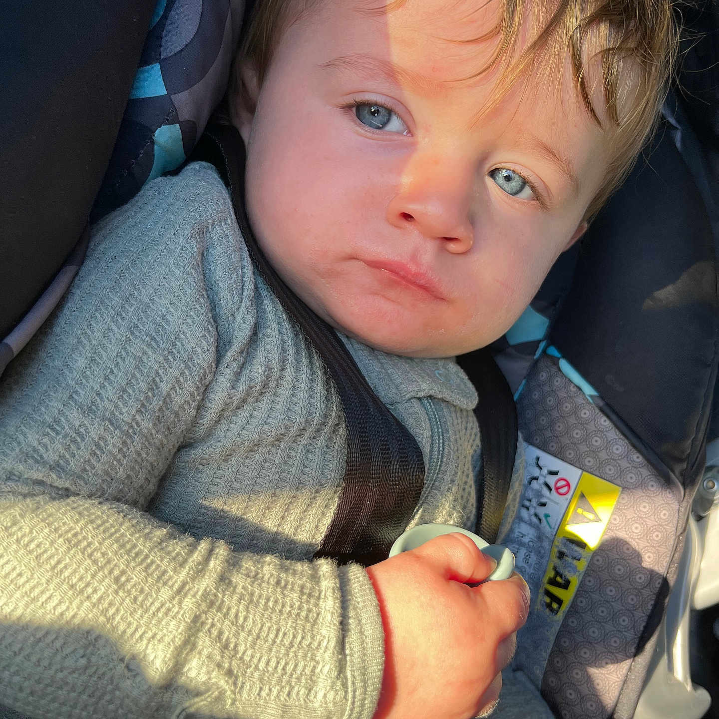 Logan L Greene joined the competition — help win amazing prizes! child, toddler, baby, car_seat, buckled, portrait, face, blue_eyes, blond_hair, sitting, indoors, vehicle, sunlight, sweater, clothing, hand, toy, seatbelt, close_up,  안전