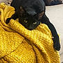 black_cat, cat, pet, animal, feline, yellow_blanket, textured_blanket, cozy, couch, furniture, indoor, resting, relaxed, paw, close_up, home, domestic, cute, sleepy, soft