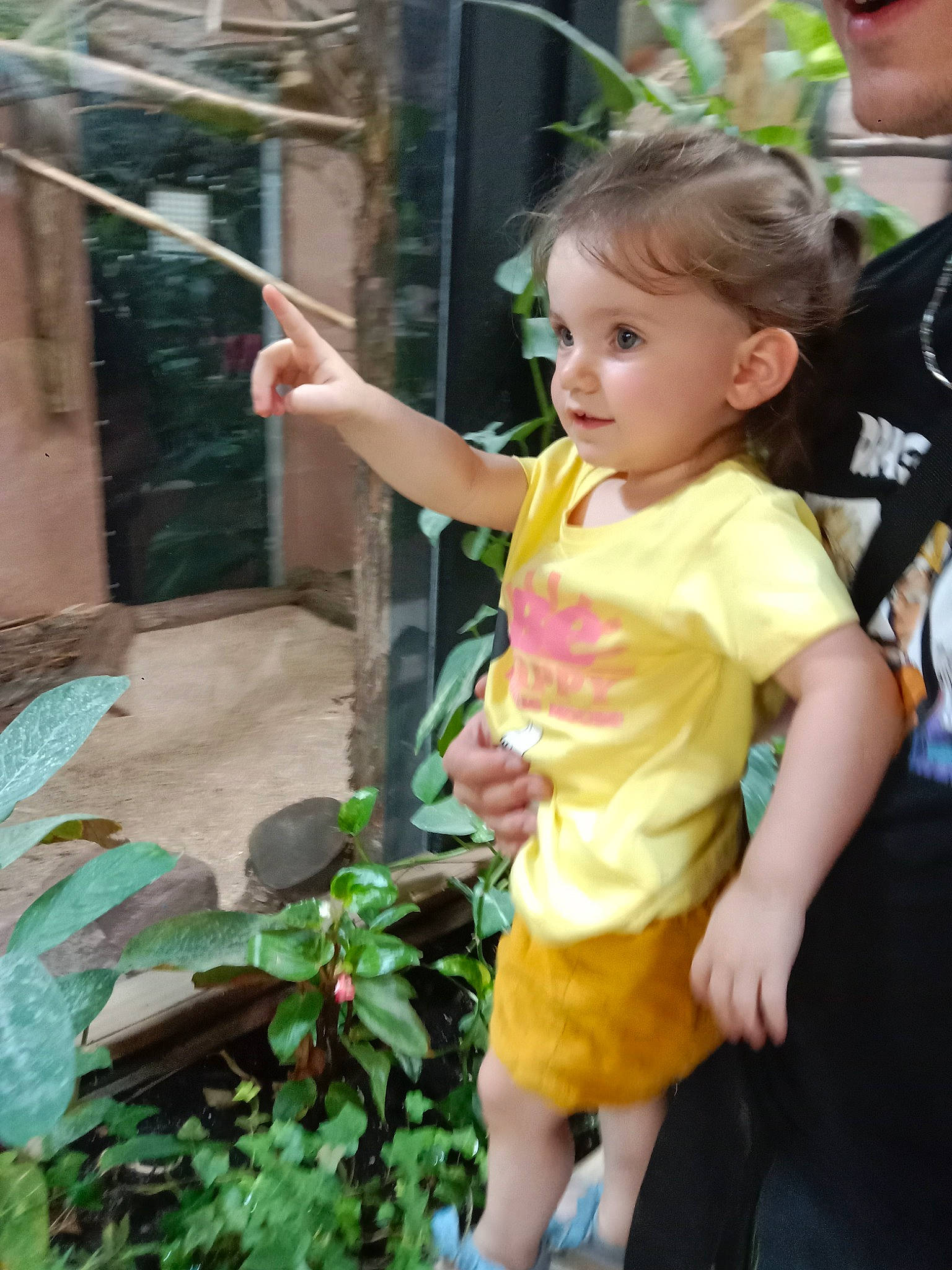 Malya a rejoint le concours — aidez-le/la à gagner de superbes lots ! baby, child, event, facial_expression, fun, garden, gesture, grass, happy, leisure, person, plant, play, shorts, skin, standing, t_shirt, temple, thumb, toddler