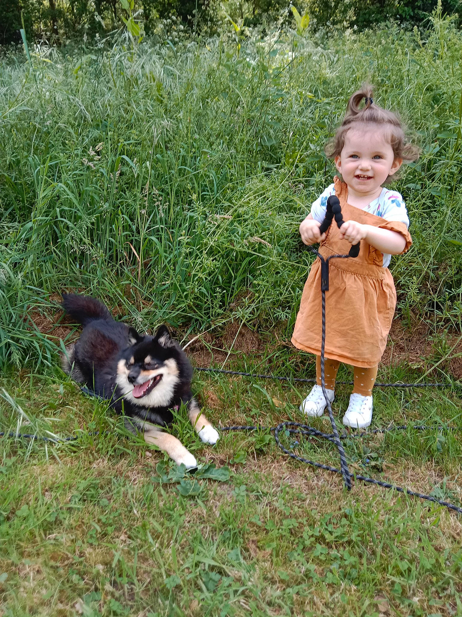 Malya a rejoint le concours — aidez-le/la à gagner de superbes lots ! baby_toddler_clothing, carnivore, collie, companion_dog, dog, dog_breed, felidae, fur, grass, grassland, herding_dog, joy, lawn, people_in_nature, person, plant, scotch_collie, sitting, sled_dog, smile