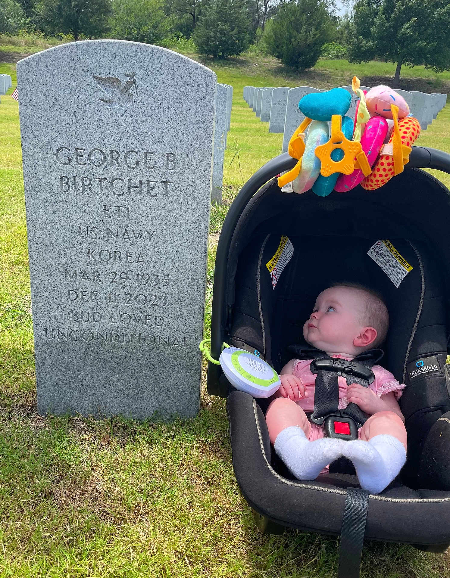 Riley joined the competition — help win amazing prizes! baby, car_seat, gravestone, cemetery, grass, toy, outdoor, trees, sunlight, infant, head, clothing, grass_field, memorial, military, nature, peaceful, portrait, person, seat