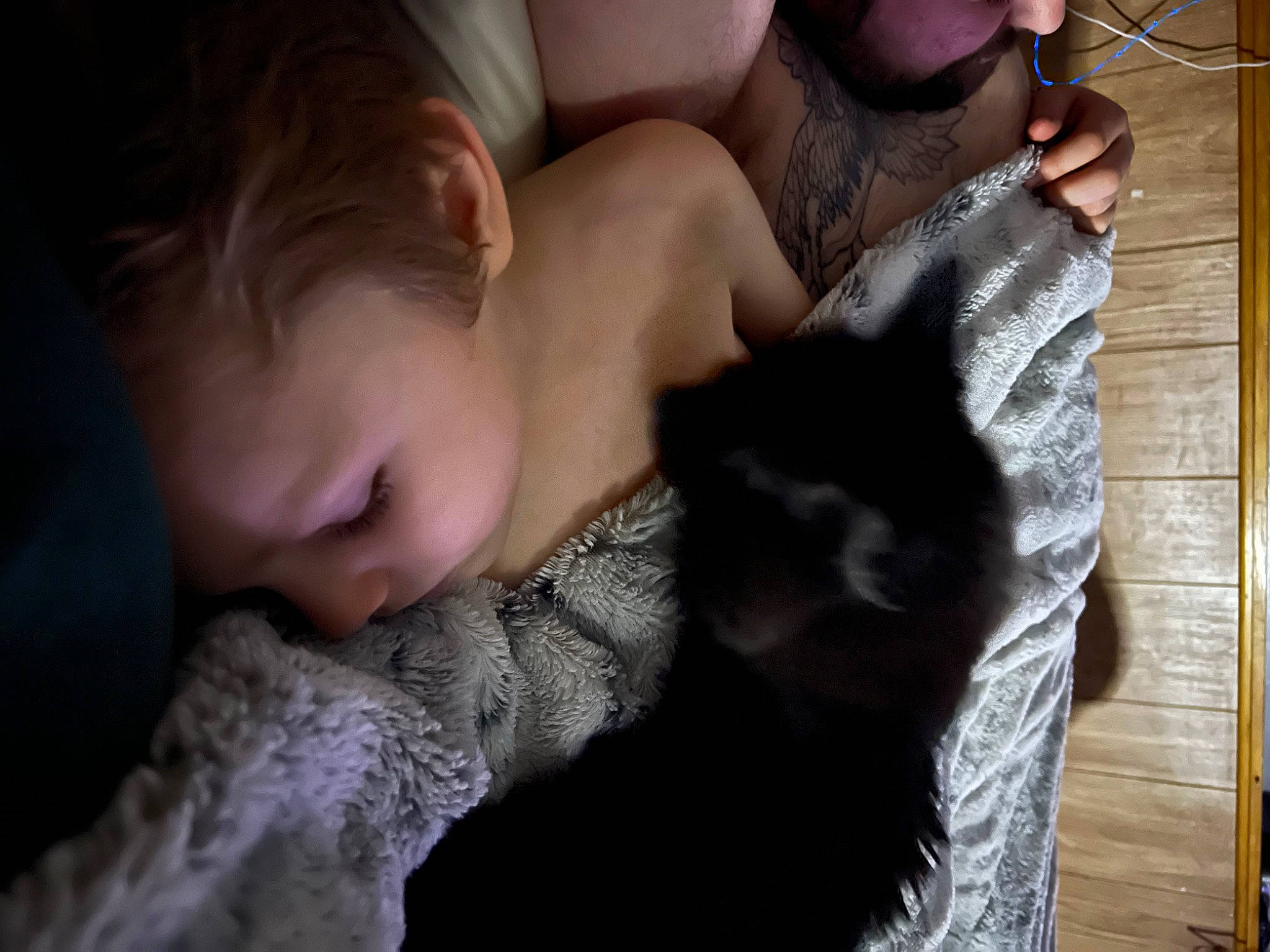 Bubbles joined the competition — help win amazing prizes! black_hair, carnivore, cat, child, comfort, domestic_short_haired_cat, ear, eyelash, felidae, fur, gesture, grey, linens, long_hair, love, nap, sitting, small_to_medium_sized_cats, whiskers, wool