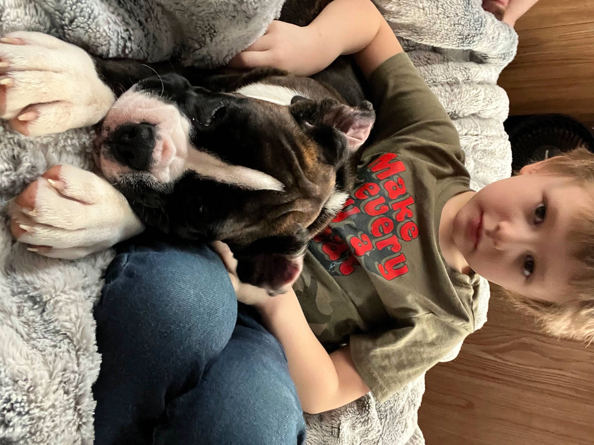 Storm joined the competition — help win amazing prizes! canidae, carnivore, comfort, companion_dog, dog, dog_breed, fawn, fun, fur, gesture, grass, happy, human_leg, lap, sitting, skin, snout, sporting_group, thigh, toddler