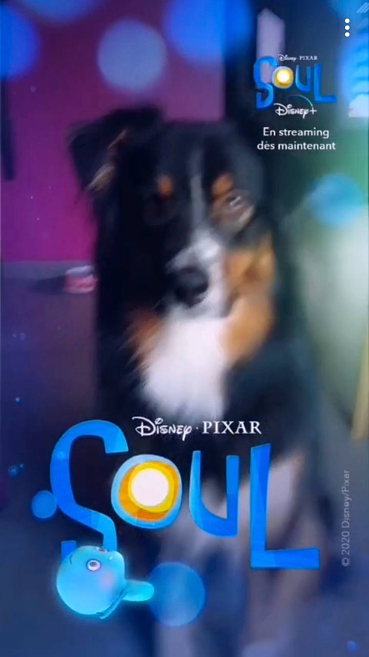 Opale participe au concours pour gagner de l'argent avec cette photo : advertising, art, blue, canidae, carnivore, companion_dog, display_device, dog, dog_breed, electric_blue, font, gadget, graphic_design, logo, multimedia, organism, photo_caption, publication, screenshot, world