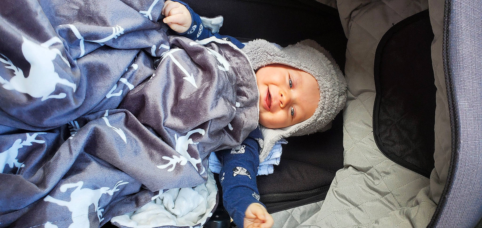 Marek is registered to the contest to win money with this photo: auto_part, baby, baby_products, baby_toddler_clothing, car_seat, cheek, child, comfort, denim, electric_blue, fun, headwear, nap, person, plant, sitting, sleep, smile, toddler, tree