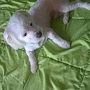 Igloo participe au concours pour gagner de l'argent avec cette photo :