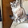 Bastet