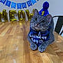 cat, birthday, party_hat, bandana, table, decorations, blue, gold, gray_tabby, pet, celebration, indoor, cute, animal, feline, first_birthday, pom_pom, happy, sitting, close_up