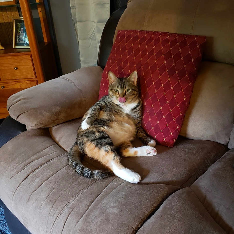 Mollygirl