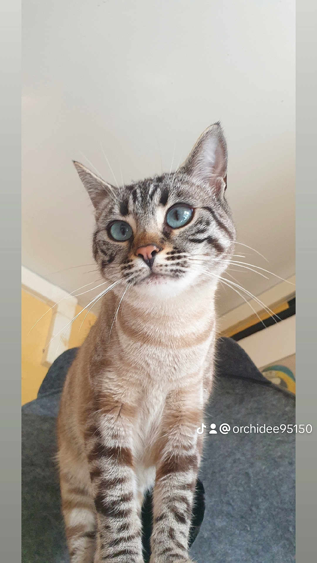 Tina