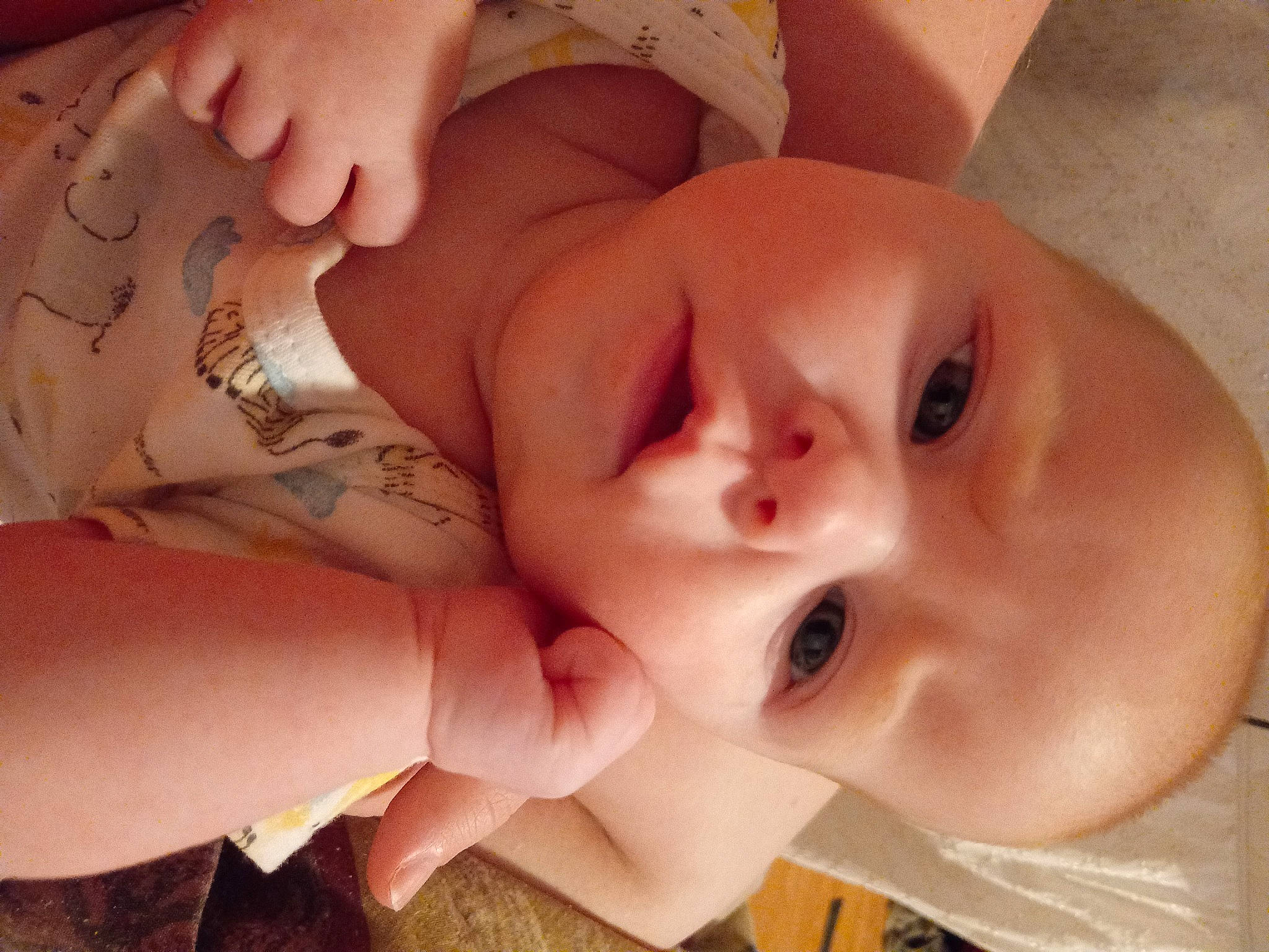 Octavia is registered to the contest to win money with this photo: arm, baby, baby_toddler_clothing, cheek, eye, eyebrow, eyelash, finger, gesture, hand, happy, head, lip, mouth, muscle, neck, nose, person, skin, thumb