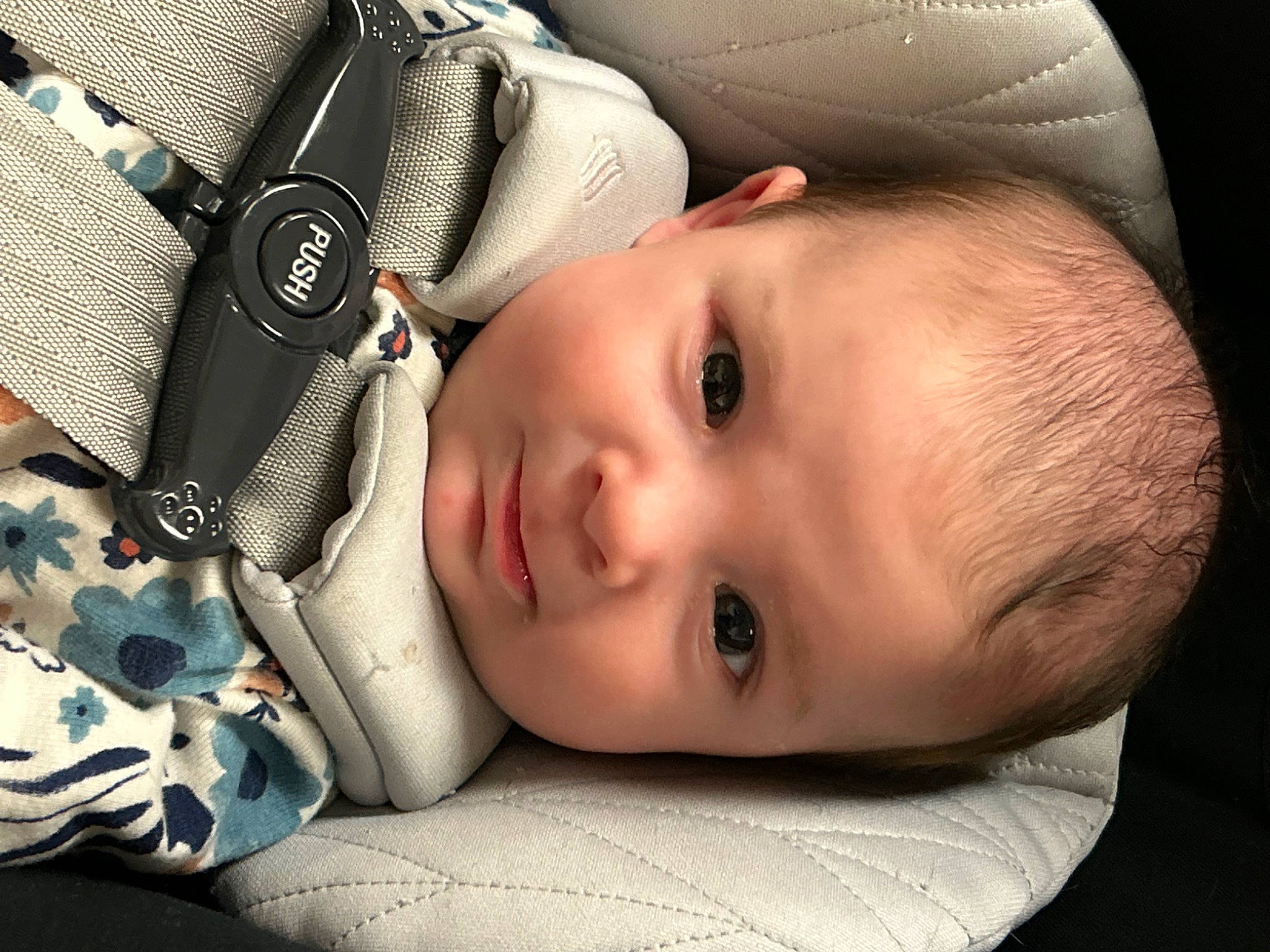 Rose joined the competition — help win amazing prizes! baby, baby_carriage, baby_products, baby_toddler_clothing, beauty, cheek, child, comfort, eyebrow, eyelash, fashion_accessory, flash_photography, headgear, iris, lip, nose, pattern, people, person, skin