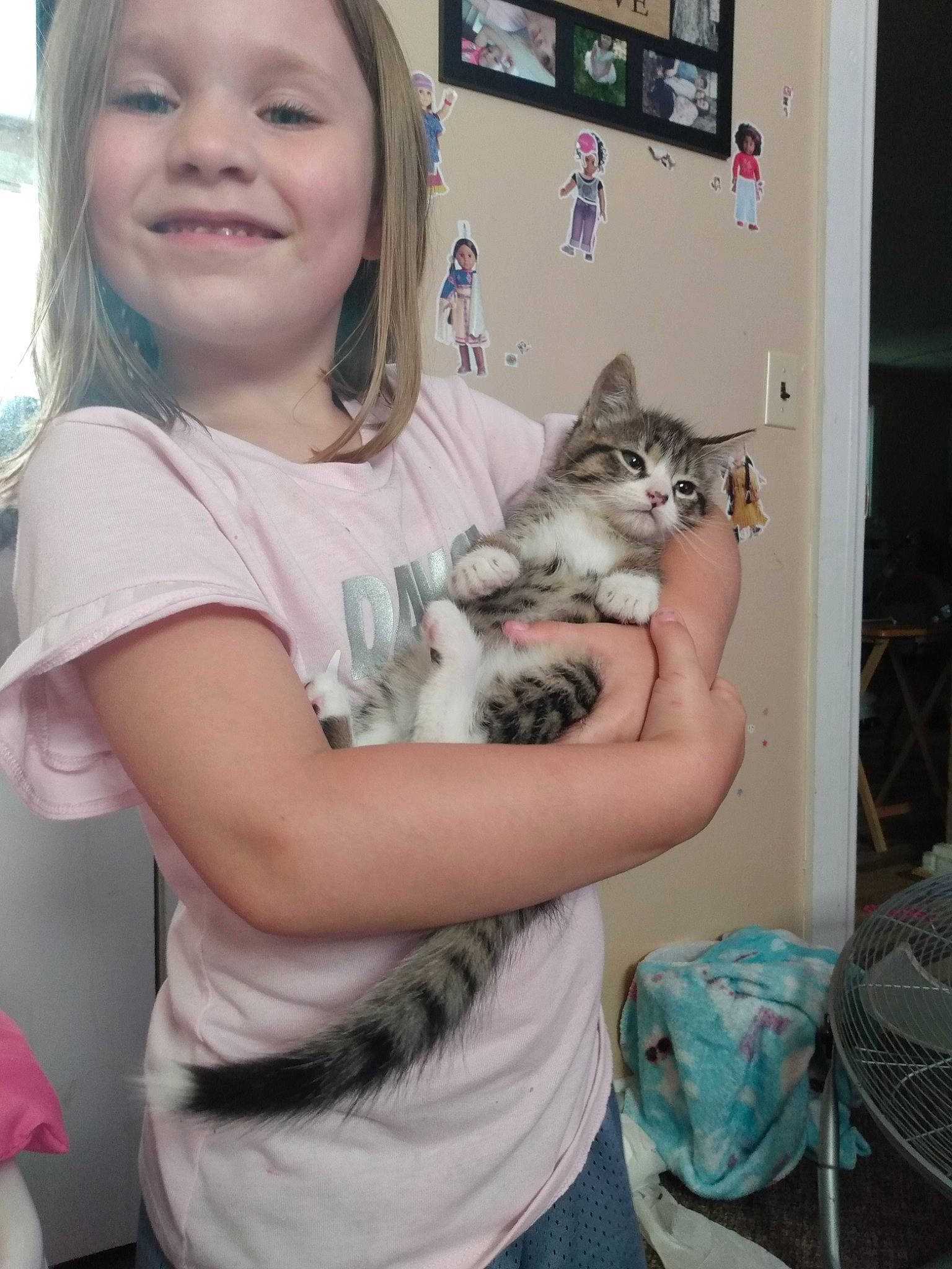 Makenna joined the competition — help win amazing prizes! alaskan_klee_kai, american_shorthair, carnivore, cat, child, domestic_short_haired_cat, ear, european_shorthair, felidae, joy, kitten, person, siberian, singapura, skin, small_to_medium_sized_cats