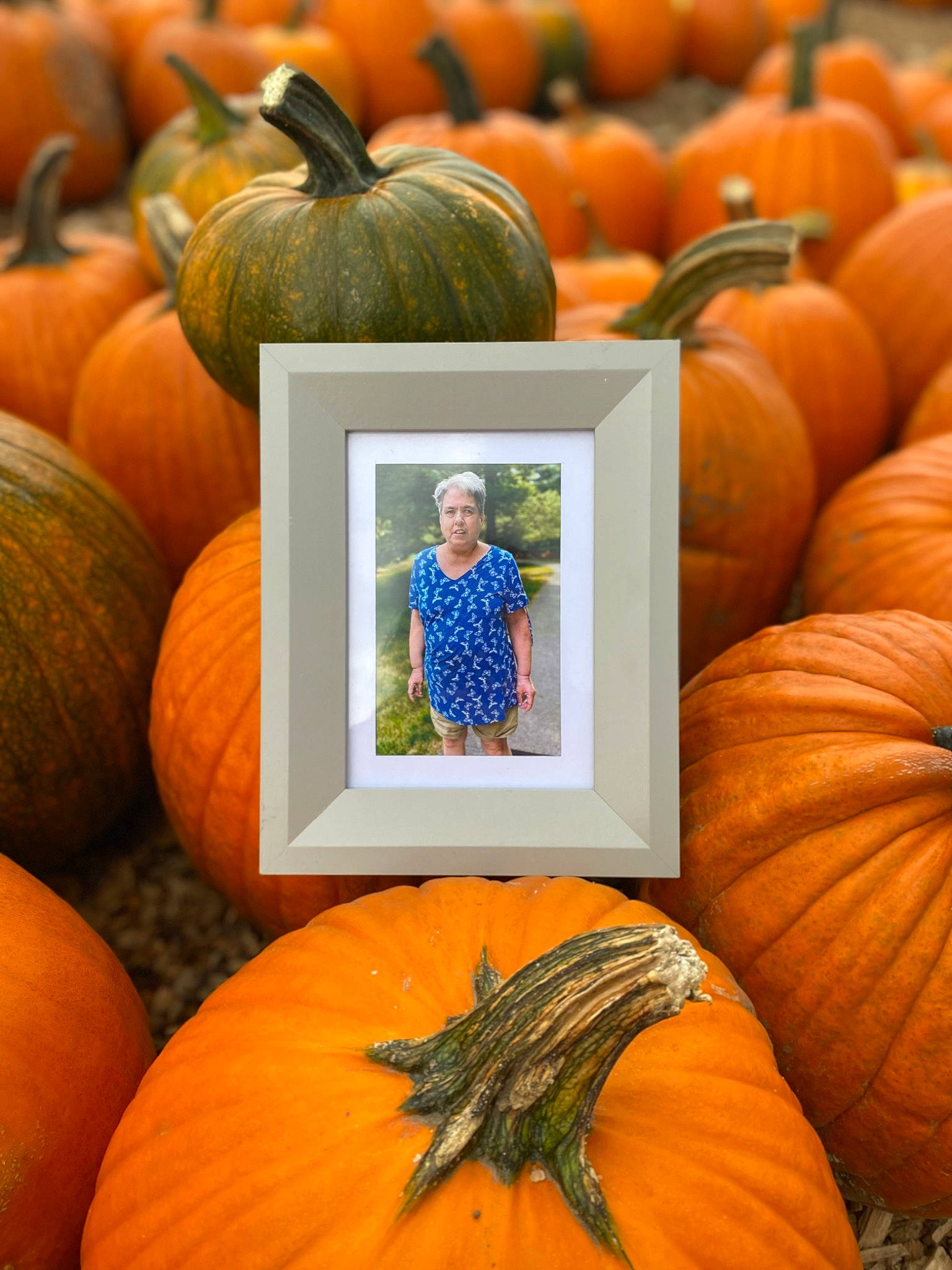 Harlow joined the competition — help win amazing prizes! black, calabaza, cucurbita, facial_expression, food, gourd, green, leaf, natural_foods, nature, orange, person, photograph, plant, pumpkin, squash, staple_food, white, whole_food, winter_squash