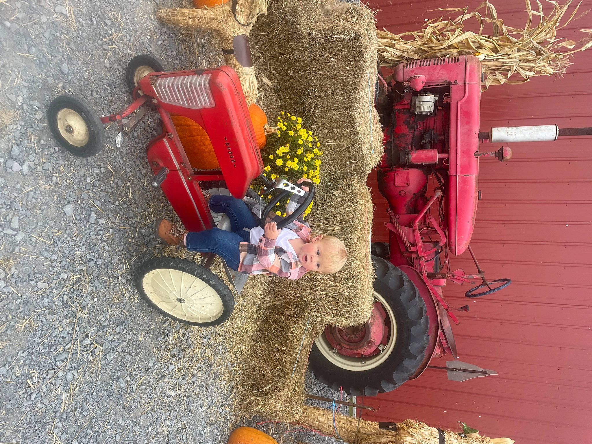Nevaeh is registered to the contest to win money with this photo: automotive_tire, automotive_wheel_system, chair, fender, fun, grass, landscape, magenta, motor_vehicle, person, plant, road_surface, soil, synthetic_rubber, tire, toy, tread, tree, vehicle, wheel