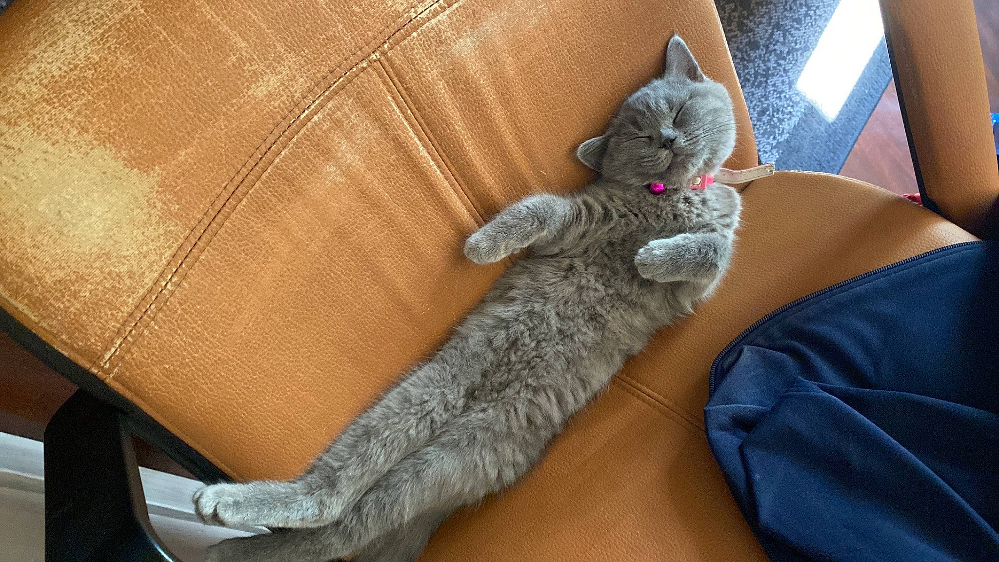 Luna participe au concours pour gagner de l'argent avec cette photo : comfort, couch, denim, finger, flooring, foot, gesture, grey, hand, human_leg, leg, linens, outerwear, pattern, sleeve, textile, thigh, wood, wool, wrist