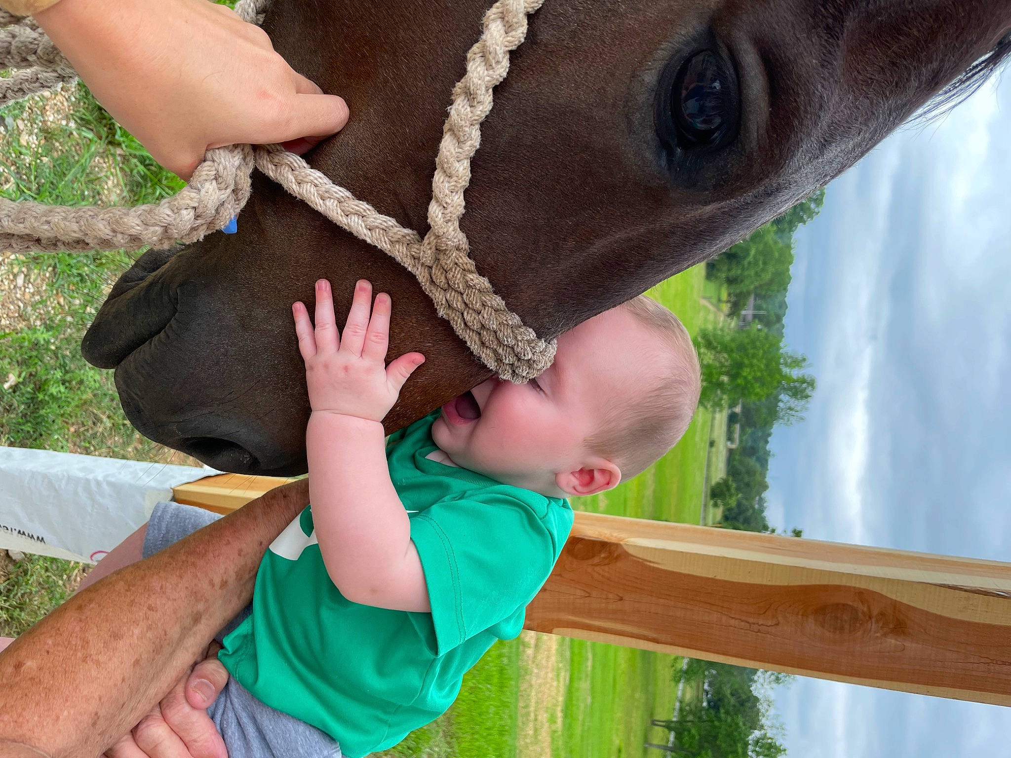 Swayde is registered to the contest to win money with this photo: arm, cloud, finger, fun, gesture, grass, green, hand, happy, leisure, organ, people_in_nature, person, photograph, sky, summer, thumb, toddler, working_animal, wrist