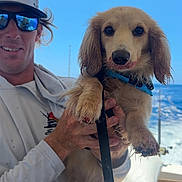 Sunny is registered to the contest to win money with this photo: dog, puppy, golden, fluffy, long_ears, brown_fur, blue_harness, leash, person, man, sunglasses, hat, smiling, boat, marine, water, sky, outdoor, portrait, pet